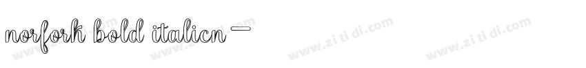 norfork bold italicn字体转换